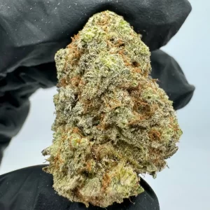 Indica strain with CBD flower Bombsicle