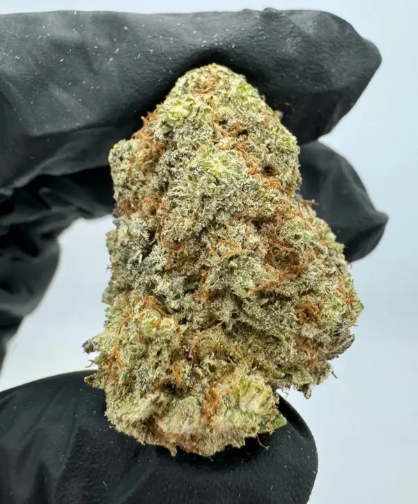 Indica strain with CBD flower Bombsicle